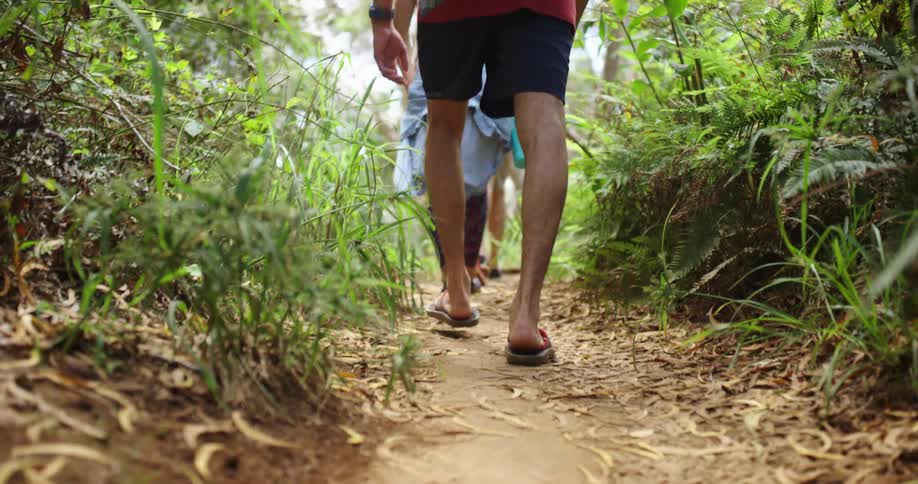 People walking down a path