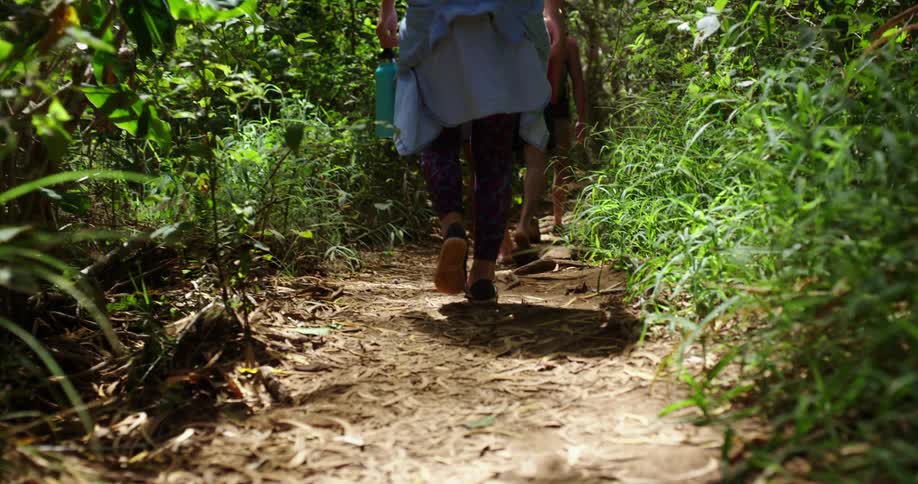 Three people hike through a forest