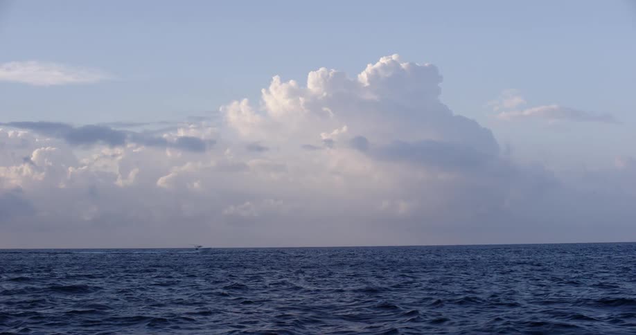 Waves in the ocean