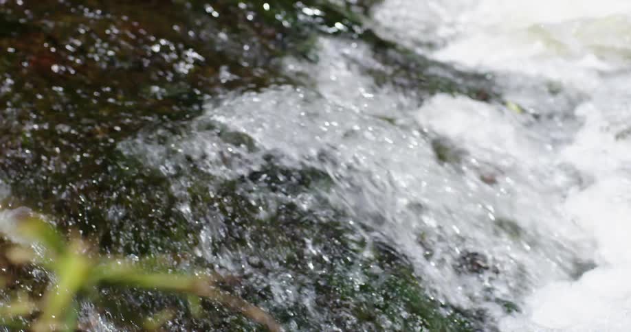 A waterfall with plants in the foreground
