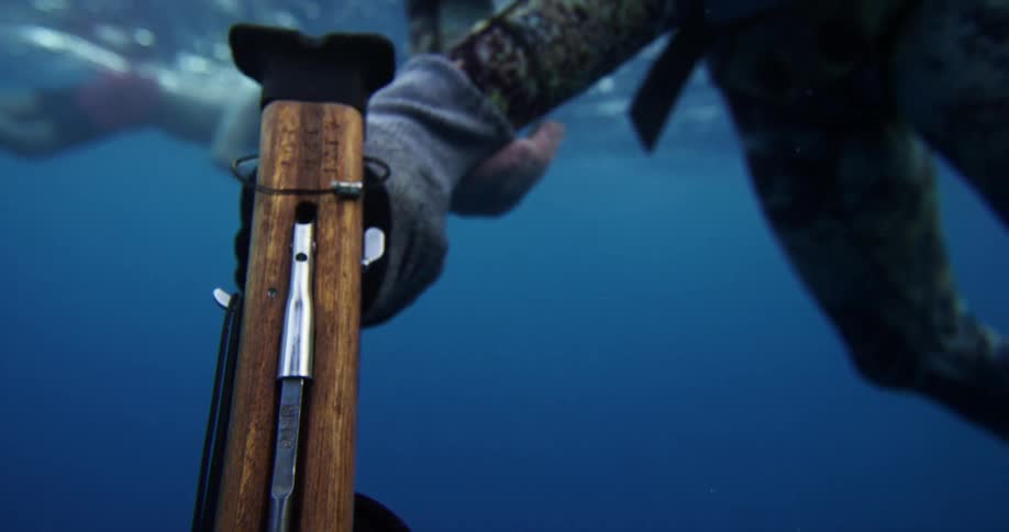 A diver is underwater holding pointing a harpoon gun