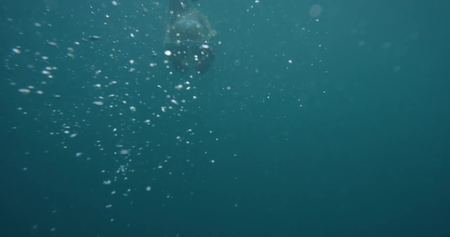 A woman with flippers swimming underwater with bubbles