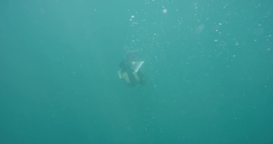 Two people swim underwater wearing flippers