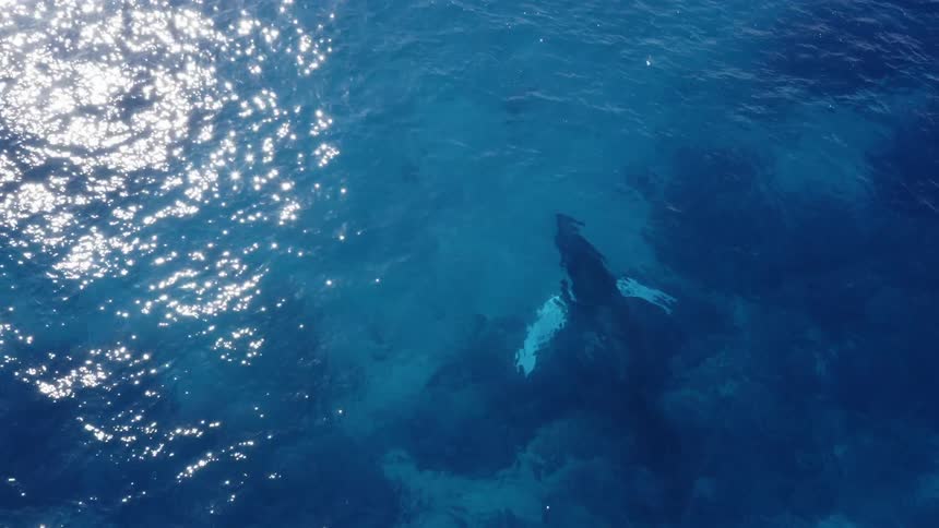 A view of an ocean is displayed