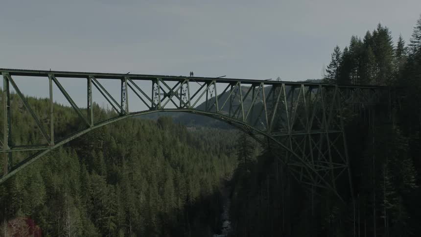 People are standing on a bridge high above a forest