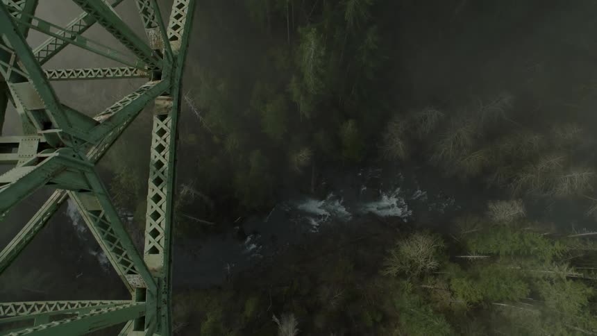 Drone Flying Through Nature