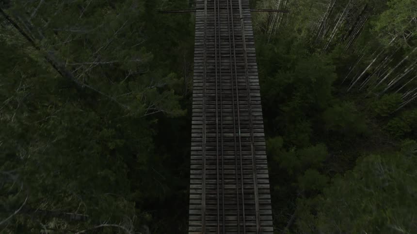 Passing over some train tracks in a forest