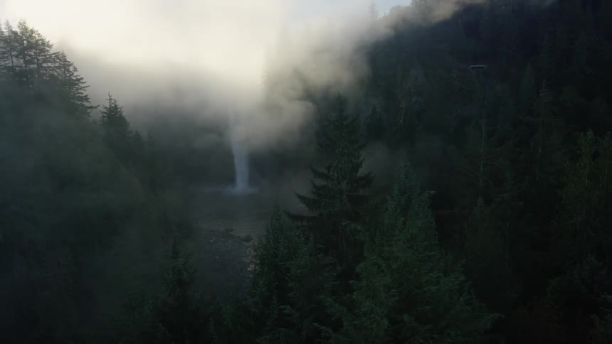Aerial view of a forest filled with fog