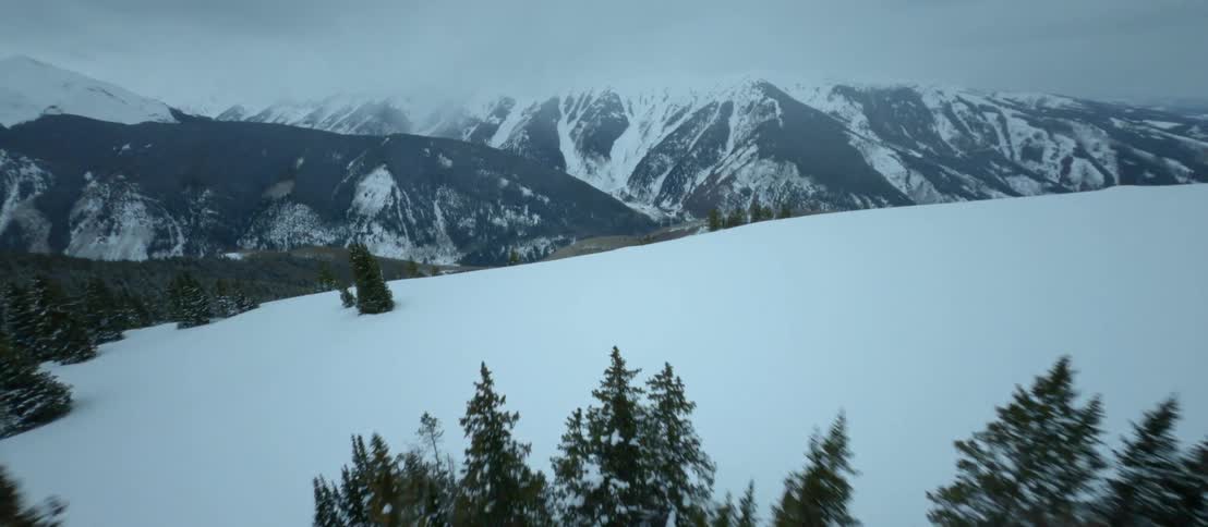 Snow covered forest and mountain range