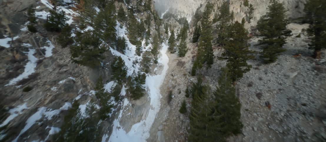 Snow sits on the tree lined mountain