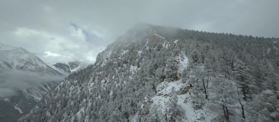 Aerial view of high snow capped mountains covered with a forest of tall trees