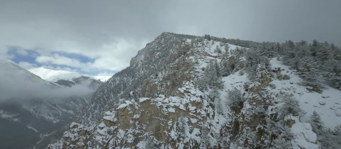Aerial view of the snowy peaks of a mountain range covered in pine forests