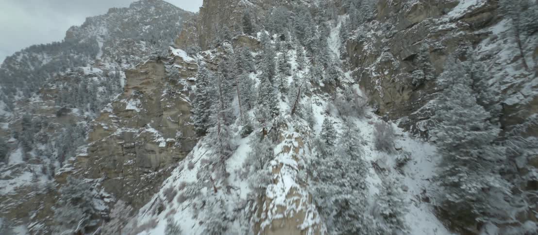 Snow covers the ground and trees on a mountain range