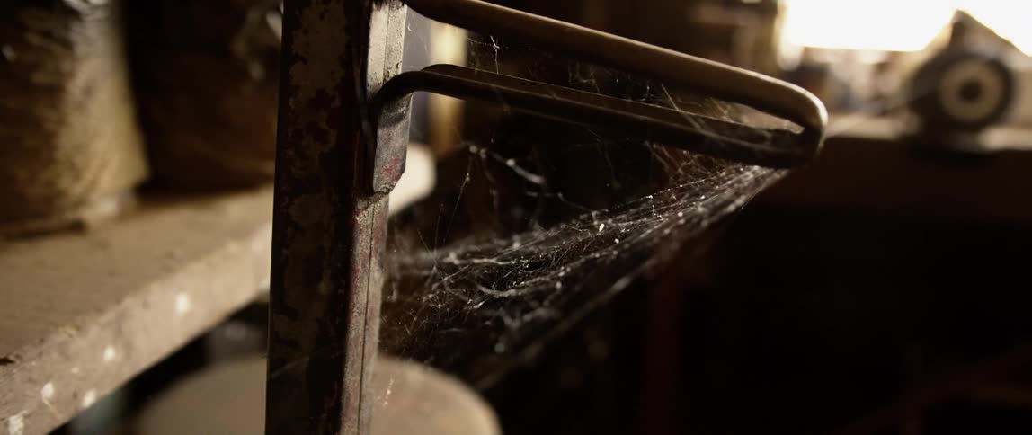 A spider web inside a building