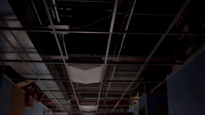 Rafters in a building