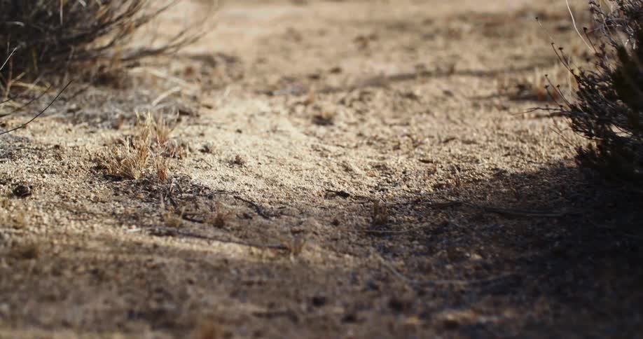 Soil and dirt in the outdoors