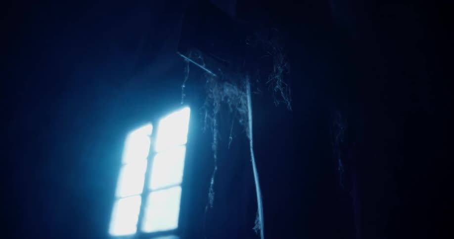 The dark room has hanging cobwebs