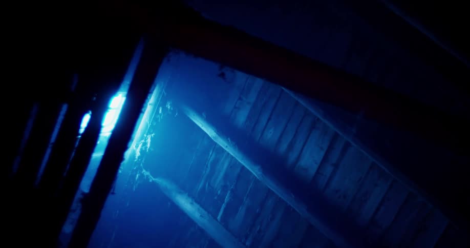 A small skylight provides the only light inside a dark barn