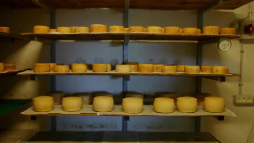 A shelving unit filled with cheeses
