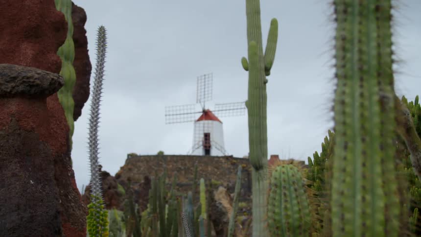 A windmill atop a cliff overlooking a field of cacti