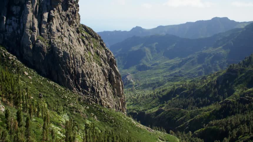 Tree lined mountains sit under a blue sky