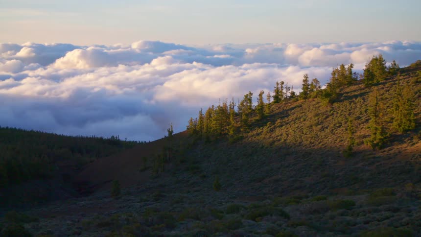 A landscape surrounded by trees above the clouds