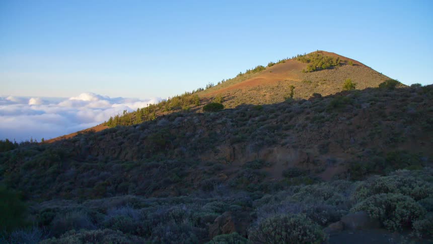 Trees sit next to a hill under a blue sky