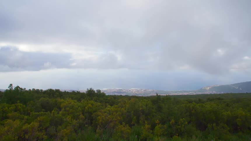 Tropical forest with the ocean on the horizon