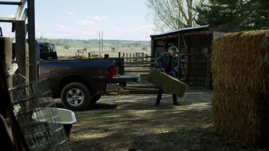 A man taking a bale of hay from a pickup truck and throwing it on the ground