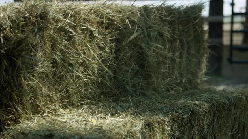 Hay bales on a farm