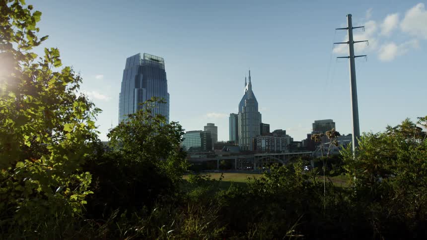 Plants and grass with the city skyline in the background