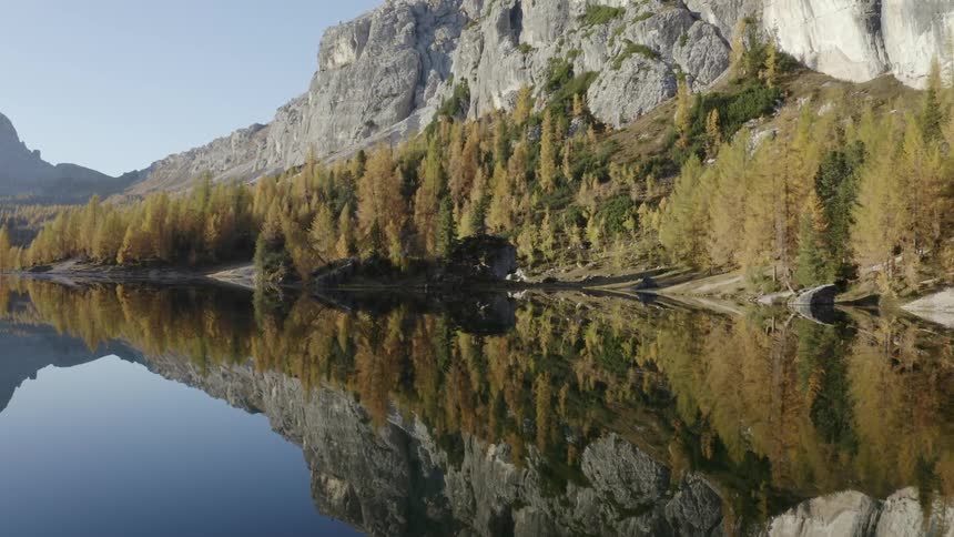 Trees on the shore of a river with a mountain range behind them