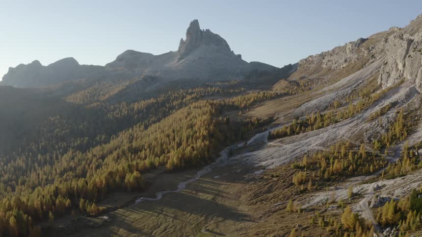 Aerial view of trees on a mountain