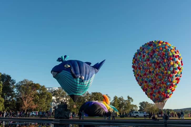Crowds of people gathered around hot air balloons