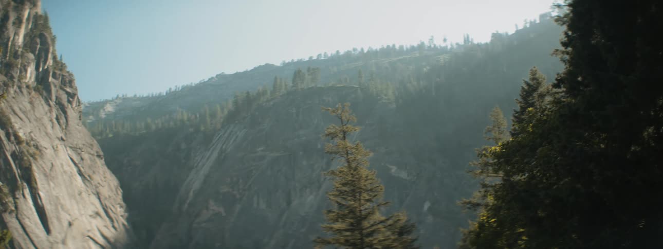 Mountains and trees sit under the sunny blue sky