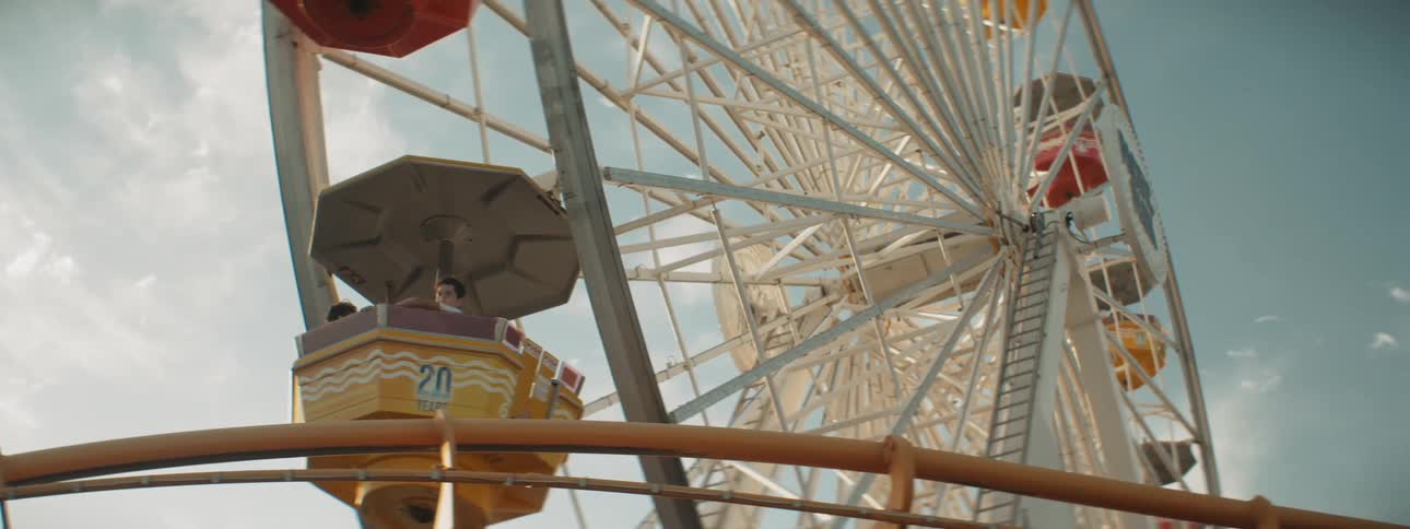 Roller coaster and ferris wheel