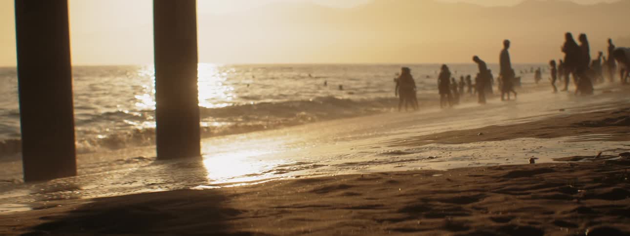 Silhouetted crowd on beach in evening