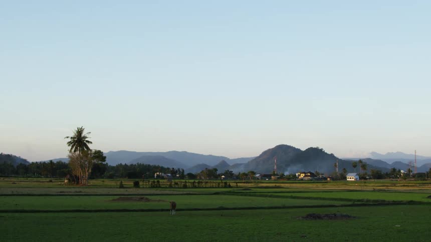 Farm fields sit outside a small rural town
