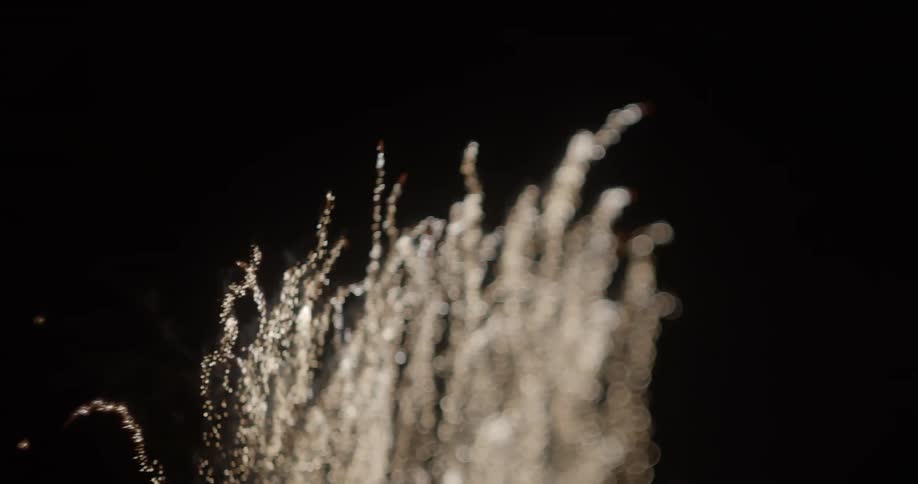 Fireworks explode in a night sky