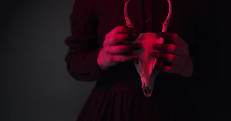 A man holds an animal skull in his hands