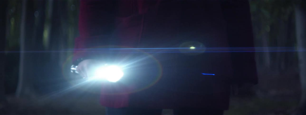 Person shines flashlight around woods as they turn