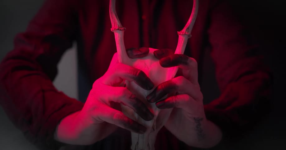 A white person clasps an animal skull in their hands