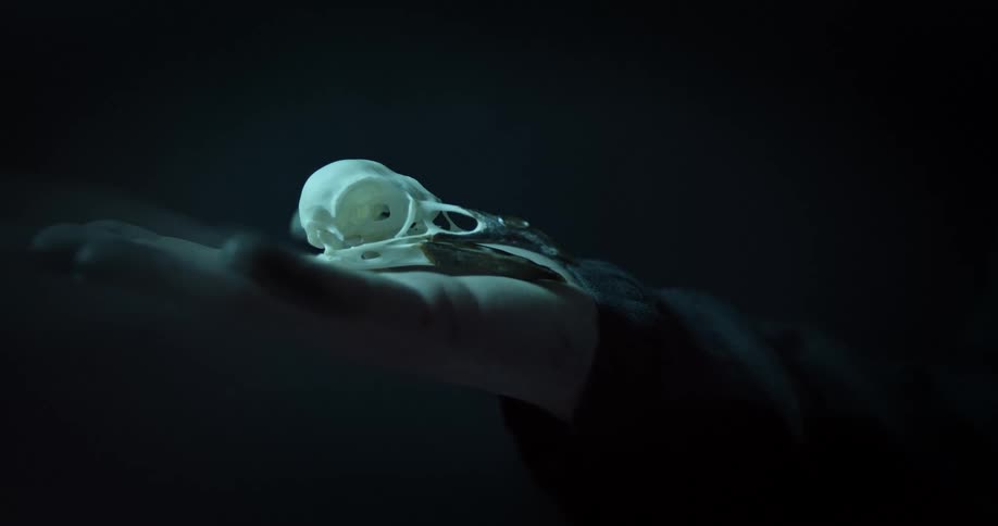 A female holds something out in her palm