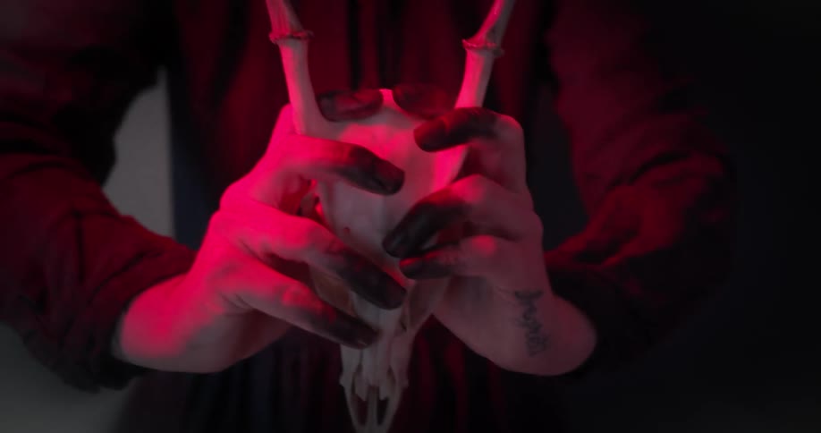 A person wearing black holding an animal skull