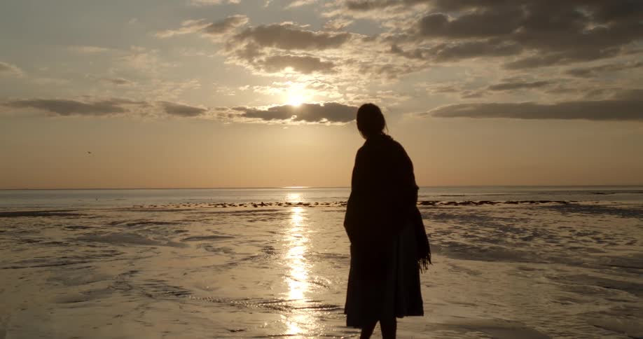 A woman stands in the water on the beach