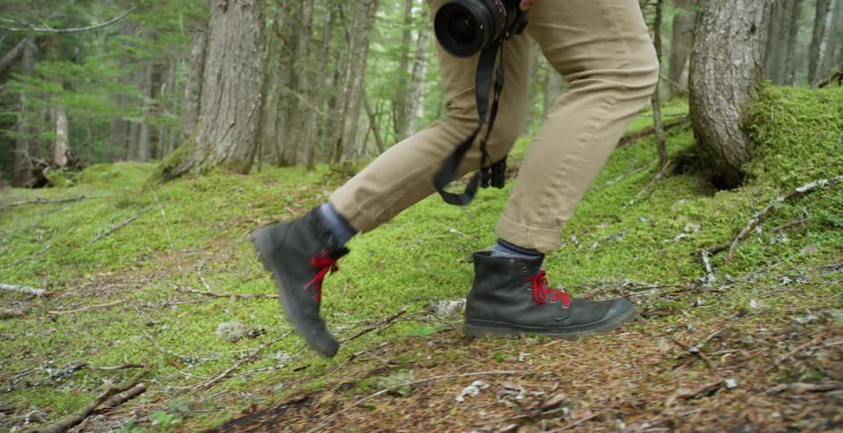 A person is walking uphill in the forest with a camera