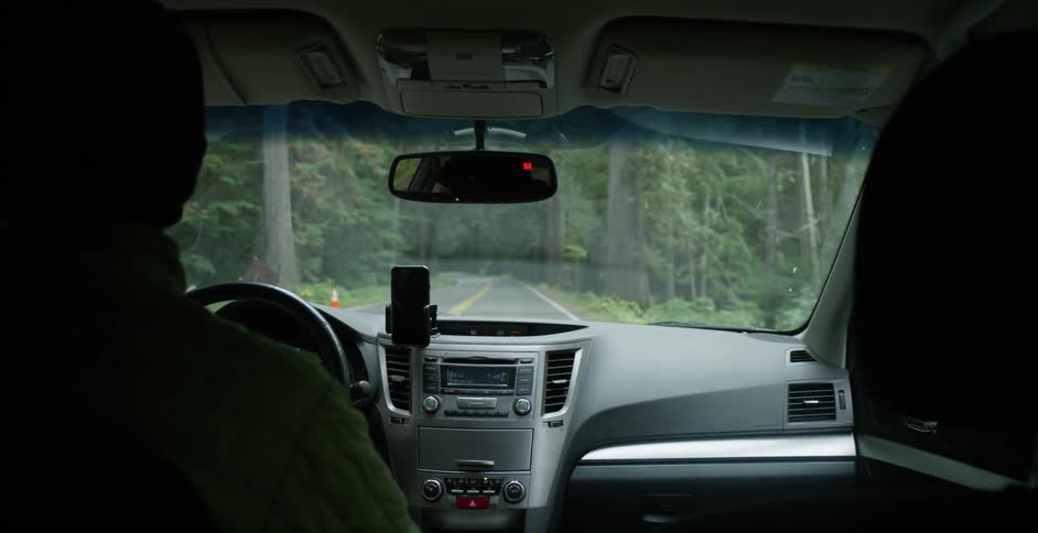 A man drives a car down a road that runs through a forest