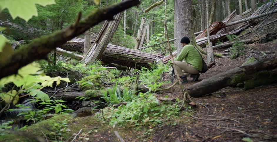 A man kneeling in a forest in front of a river