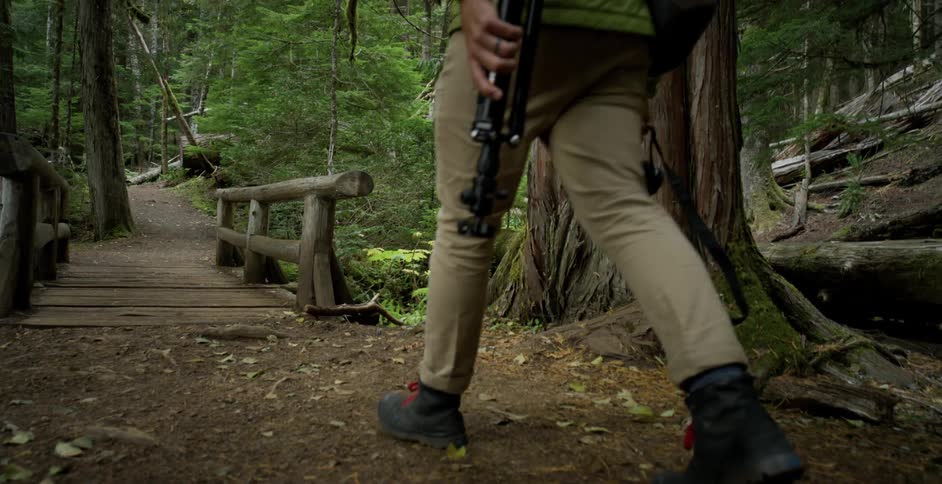 A man carrying a camera walks through the forest