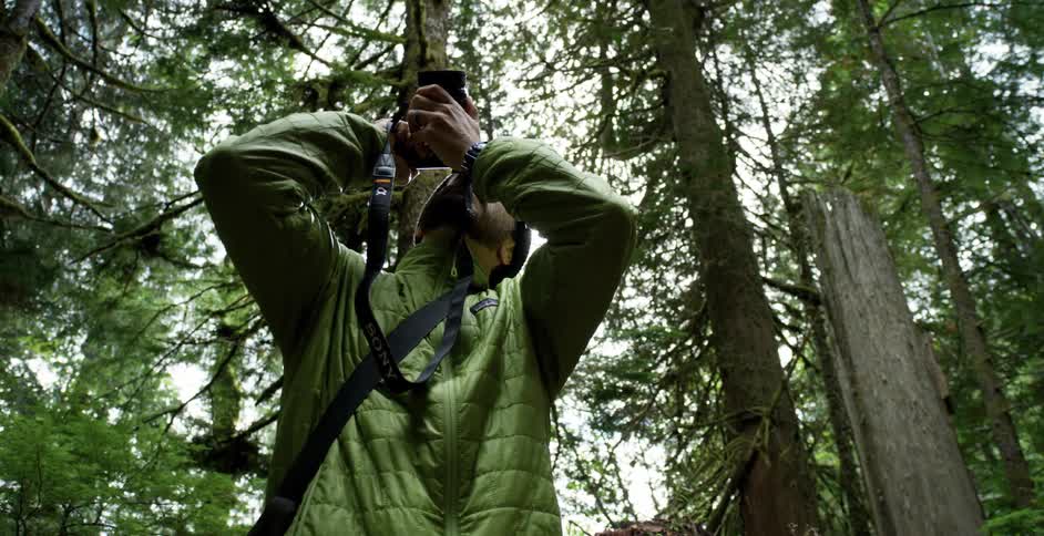 A man in the middle of the forest with a camera taking pictures of trees